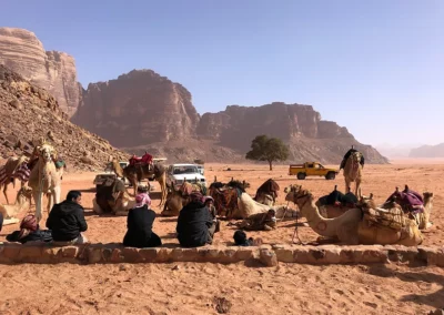 lawrence spring wadi rum happy desert tour