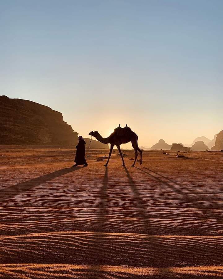 wadi rum happy tour and camp camel tour