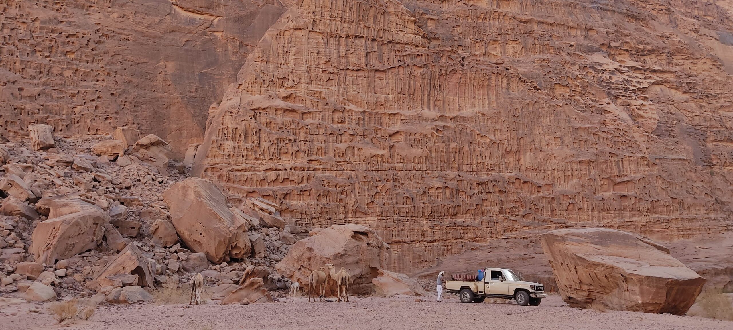 barrah canyon wadi rum happy tour and camp