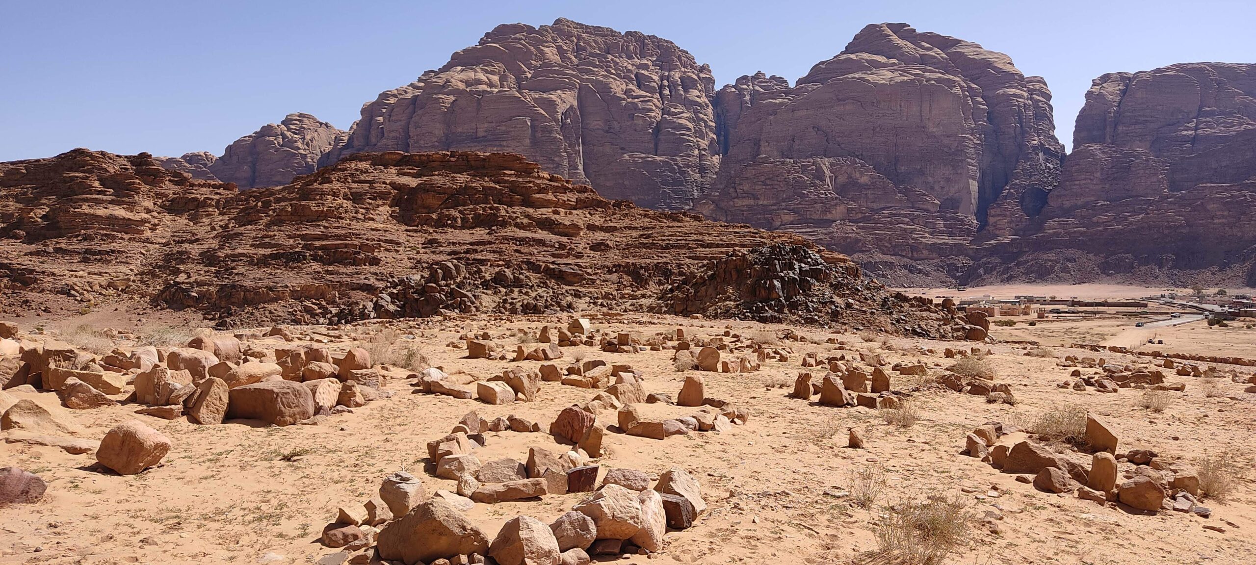 gg camel and mama camel in barrah canyon wadi rum happy tour and camp desertandmagic